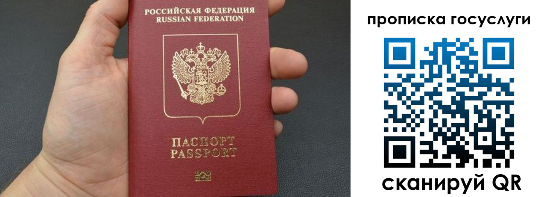 купить прописку в Павлово